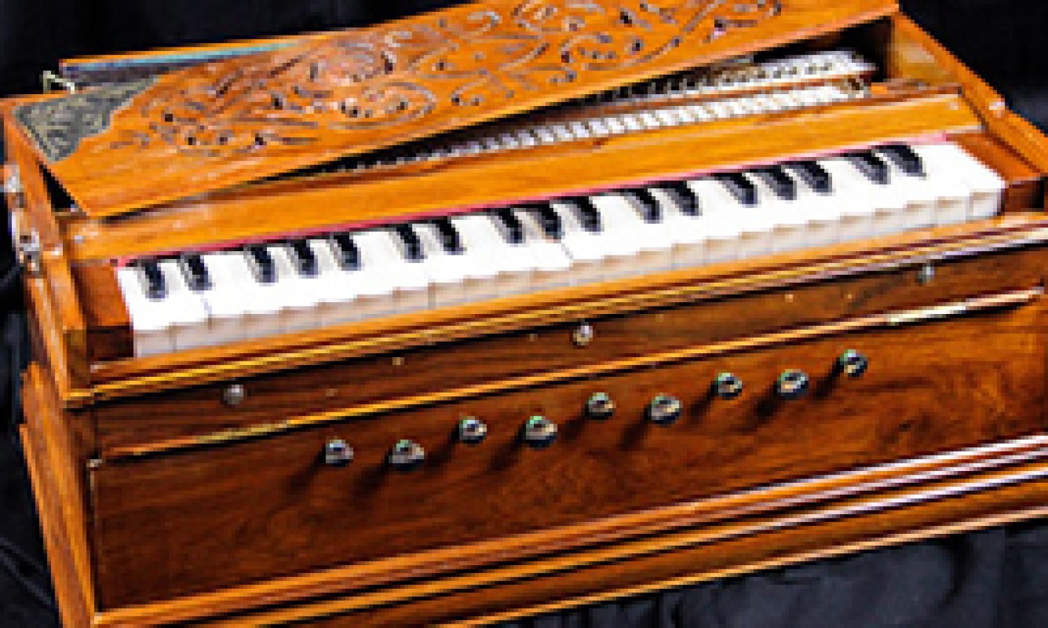 harmonium-classes-in-delhi-ncr